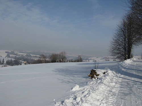 IMG_1064.jpg
