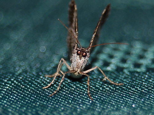 CSC_0232.jpg