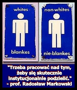 Apartheid_wg_prof_Markowskiego.jpg
